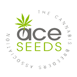 Image of Ace Seeds
