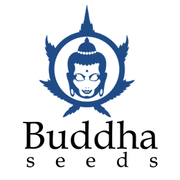 Image of breeder Buddha Seeds