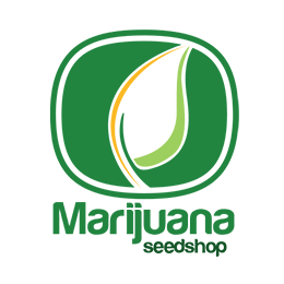 Image of Marijuana Seedshop