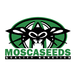 Image of breeder Mosca Seeds